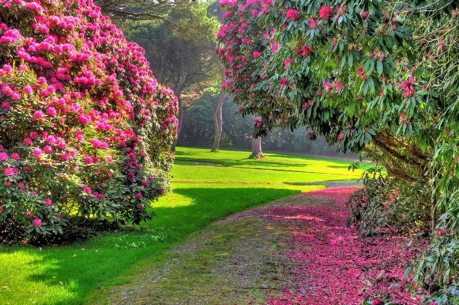 Romantic Places In Jabalpur – जबलपुर के बहुत खूबसूरत, रोमांटिक और  आश्चर्यजनक नजारे – Bharat Yatri