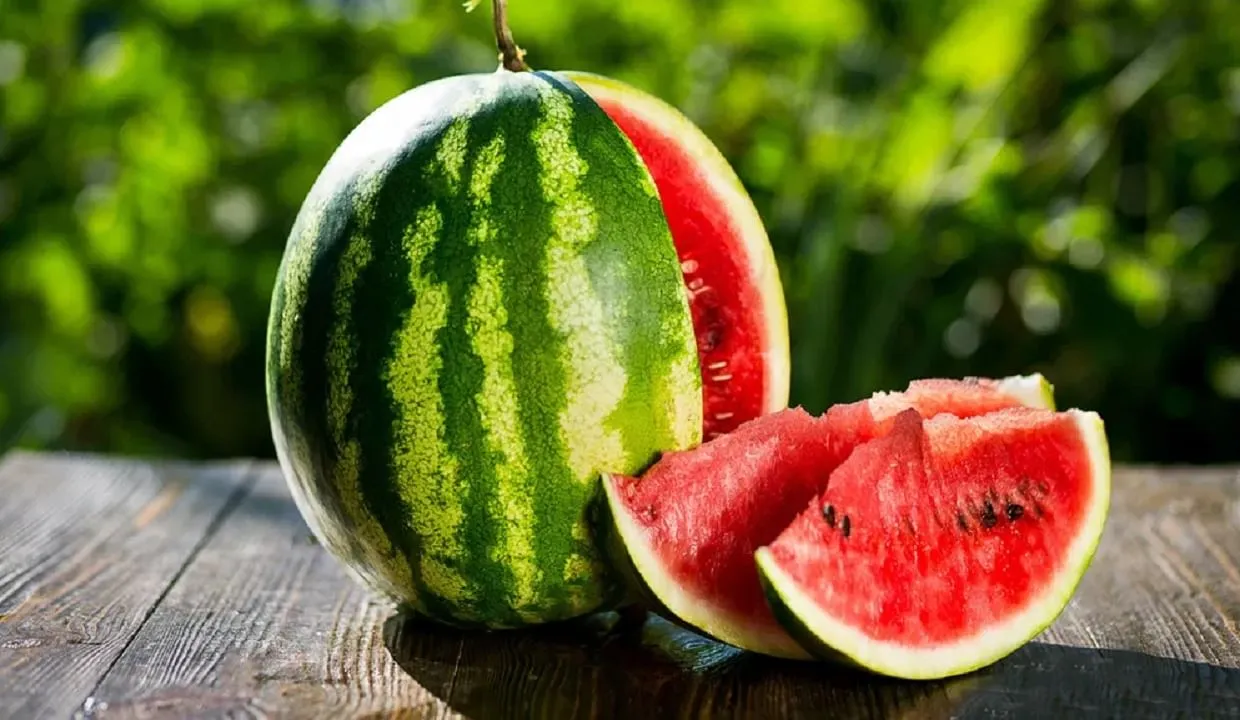 ये है दुनिया का सबसे महंगा तरबूज, कीमत इतनी अधिक कि एक तरबूज में आ जाएगा 7 तोला सोना | Densuk watermelon world most expensive watermelon | TV9 Bharatvarsh