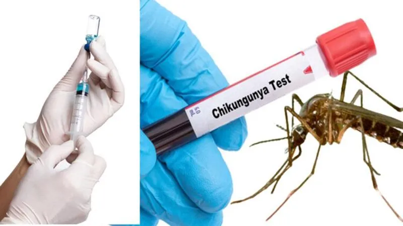 अमेरिका ने चिकनगुनिया वायरस के खिलाफ पहले टीके 'इक्चिक' को मंजूरी दे दी है