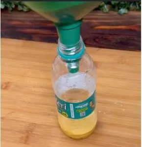 Katori-Chaat-Recipe-For-Kids step two