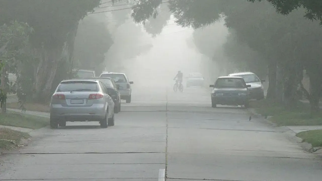 MP Weather Update: एमपी के 18 शहरों में कोहरे का अटैक! विजिबिलिटी 50 मीटर  पहुंची, जानिए आपके शहर के मौसम का हाल