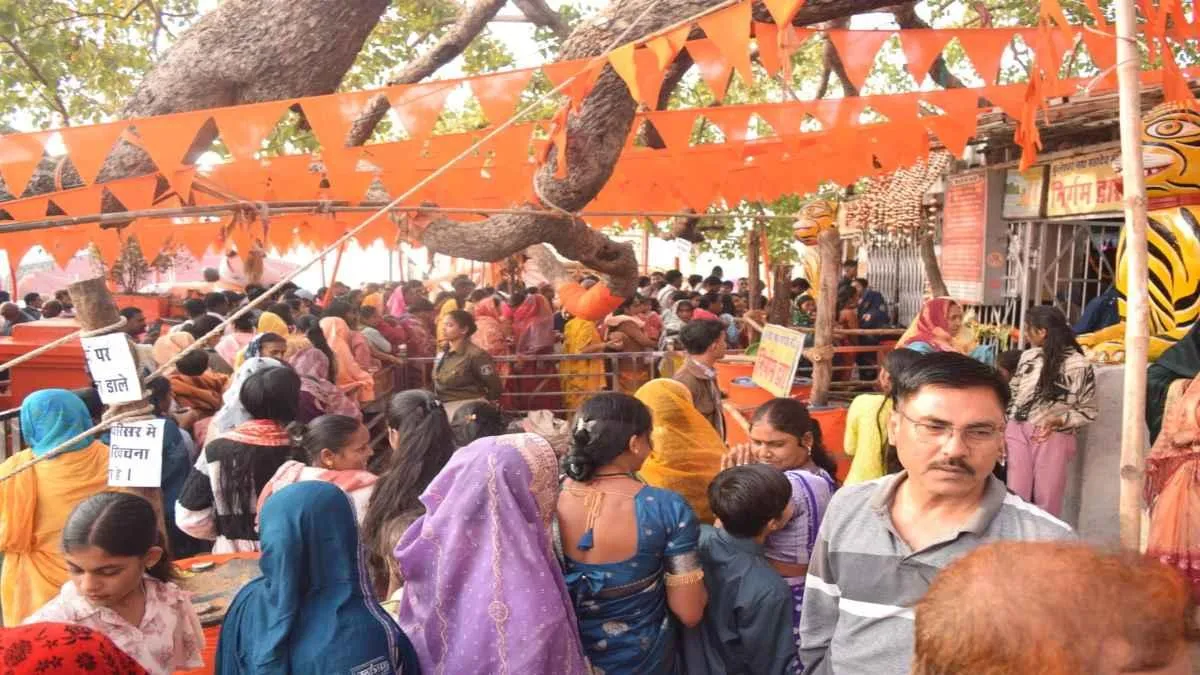 राजिम कुंभ कल्प मेला 2026: माघ पूर्णिमा पर त्रिवेणी संगम में आस्था का महासैलाब, पुण्य स्नान के लिए उमड़े हजारों श्रद्धालु