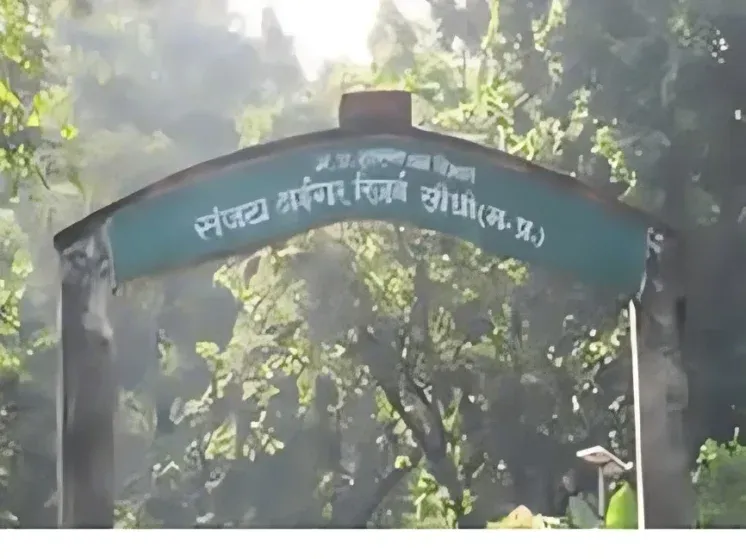 Sanjay-Dubri-Tiger-Reserve