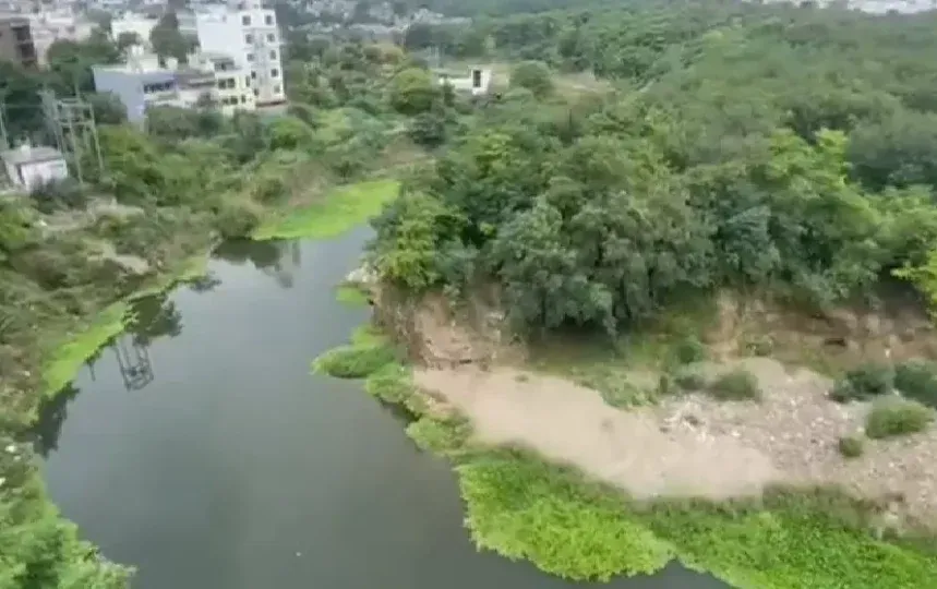 Tiger Movement in Bhopal at kaliyasaut