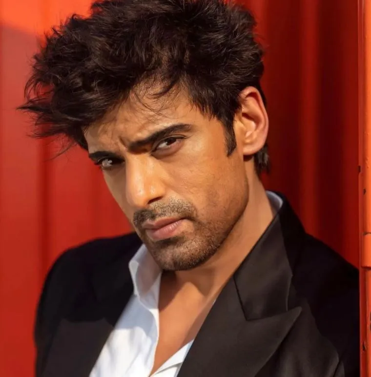 Mohit Malik’s Experience