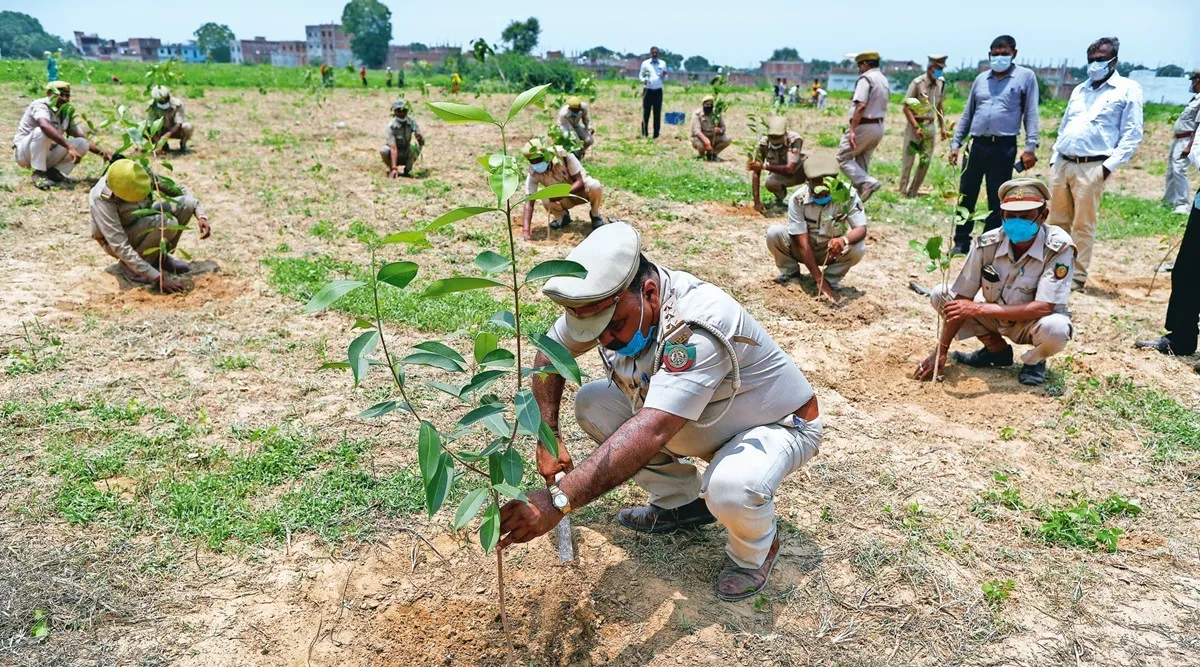 UP: Govt says it planted 25 cr tree saplings in a day, hit '1 bn target in  last 5 years' | Lucknow News - The Indian Express
