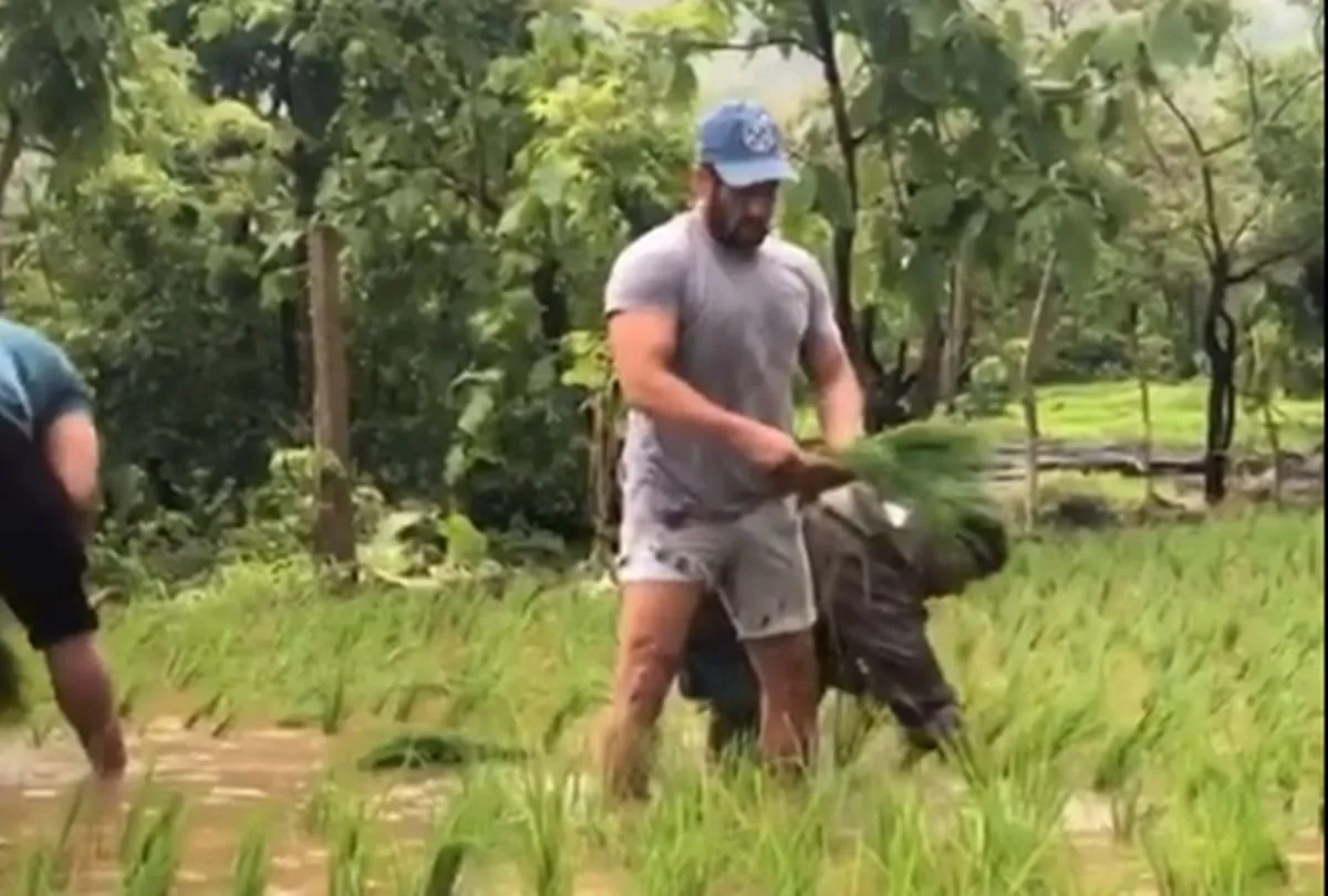 Saif ali khan to salman khan these celebrities farming photos goes viral