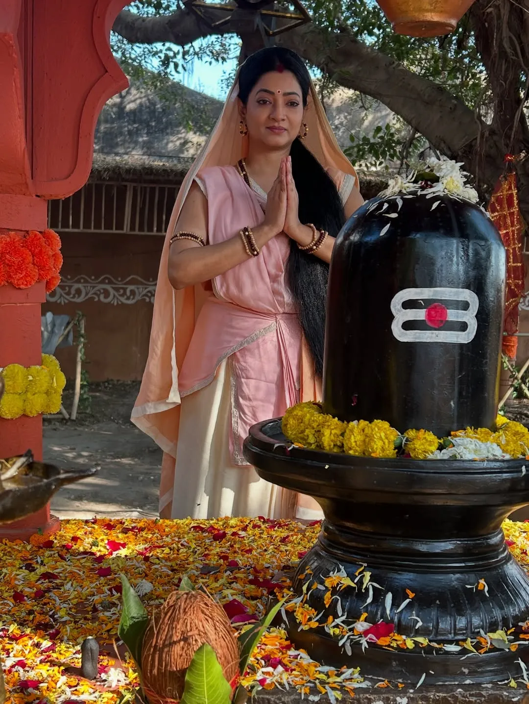 Watch Kaamdhenu Gau Mata on Star Bharat (1)