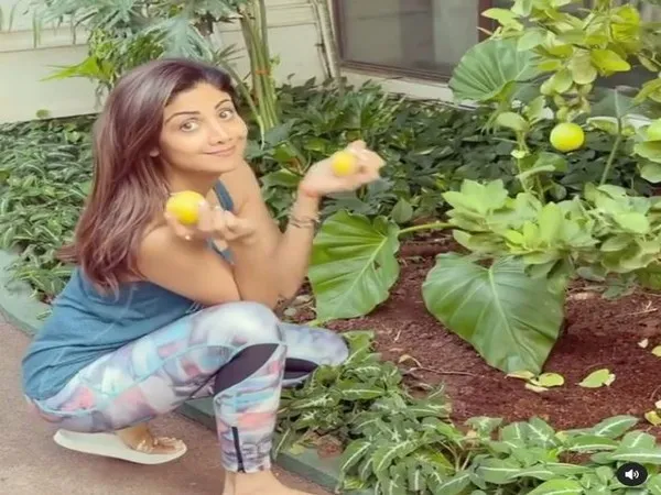 Shilpa Shetty shares 'food for thought' as she picks out lemons from  kitchen garden