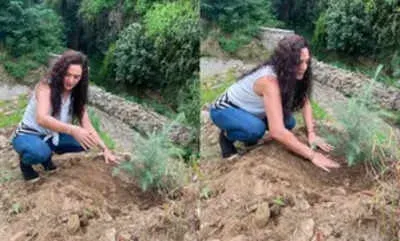 Proud Himachali' Preity Zinta talks about giving back to 'mother nature' |  - Times of India