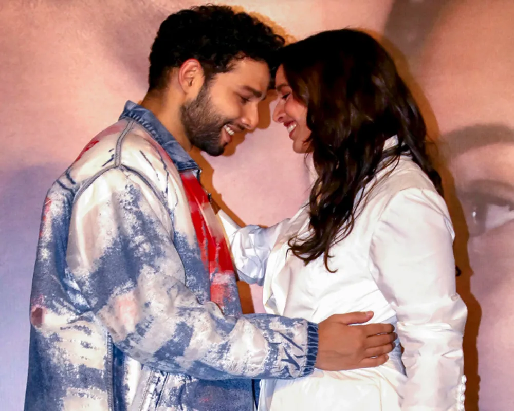 We were sure it will come out at right time, say Siddhant Chaturvedi-Triptii  Dimri on '
