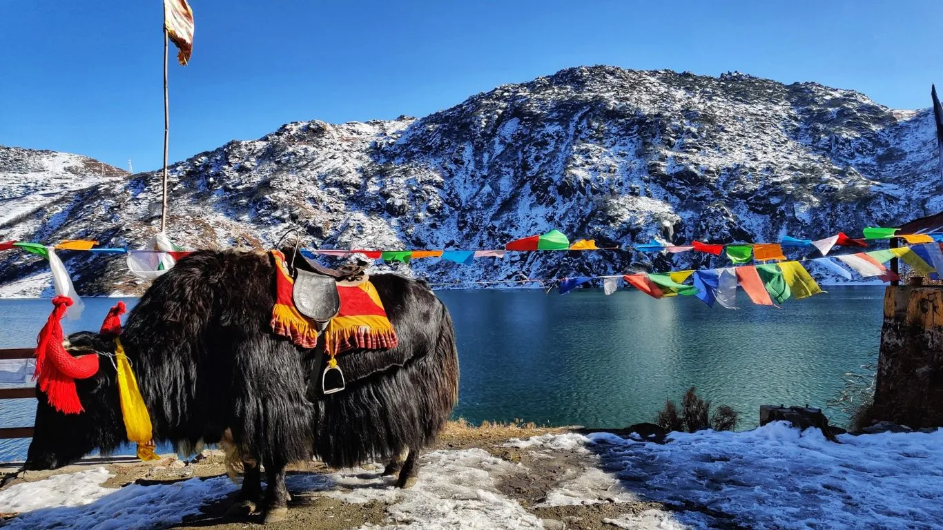 Tsomgo Lake and Baba Mandir 