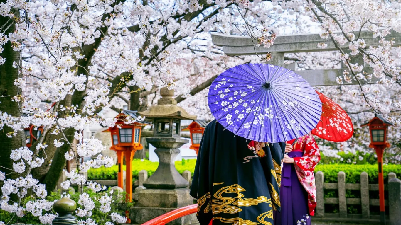 Cherry Blossom Festivals (Hanami)