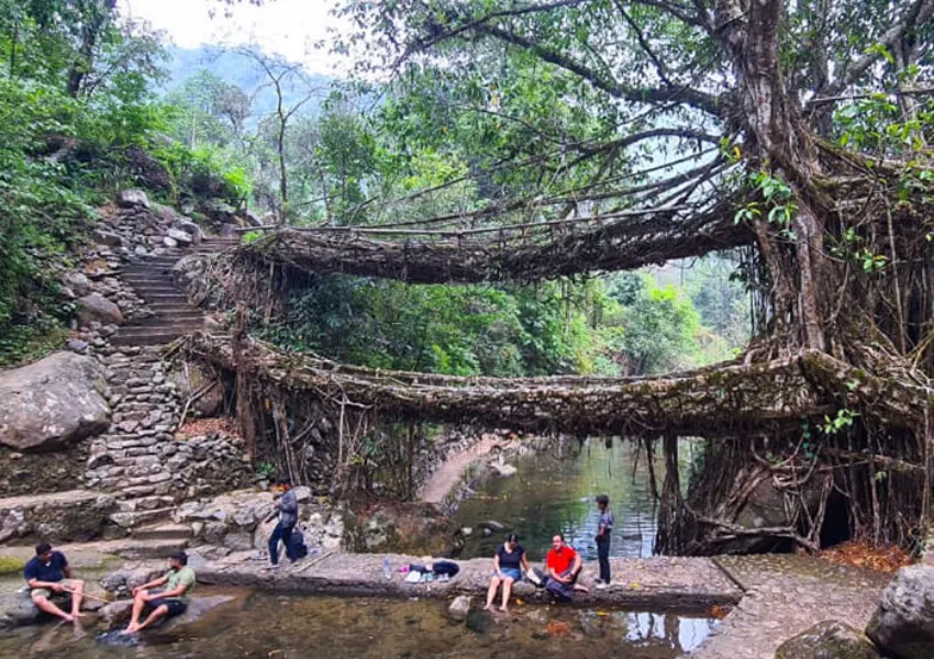Nongriat: A journey through living roots