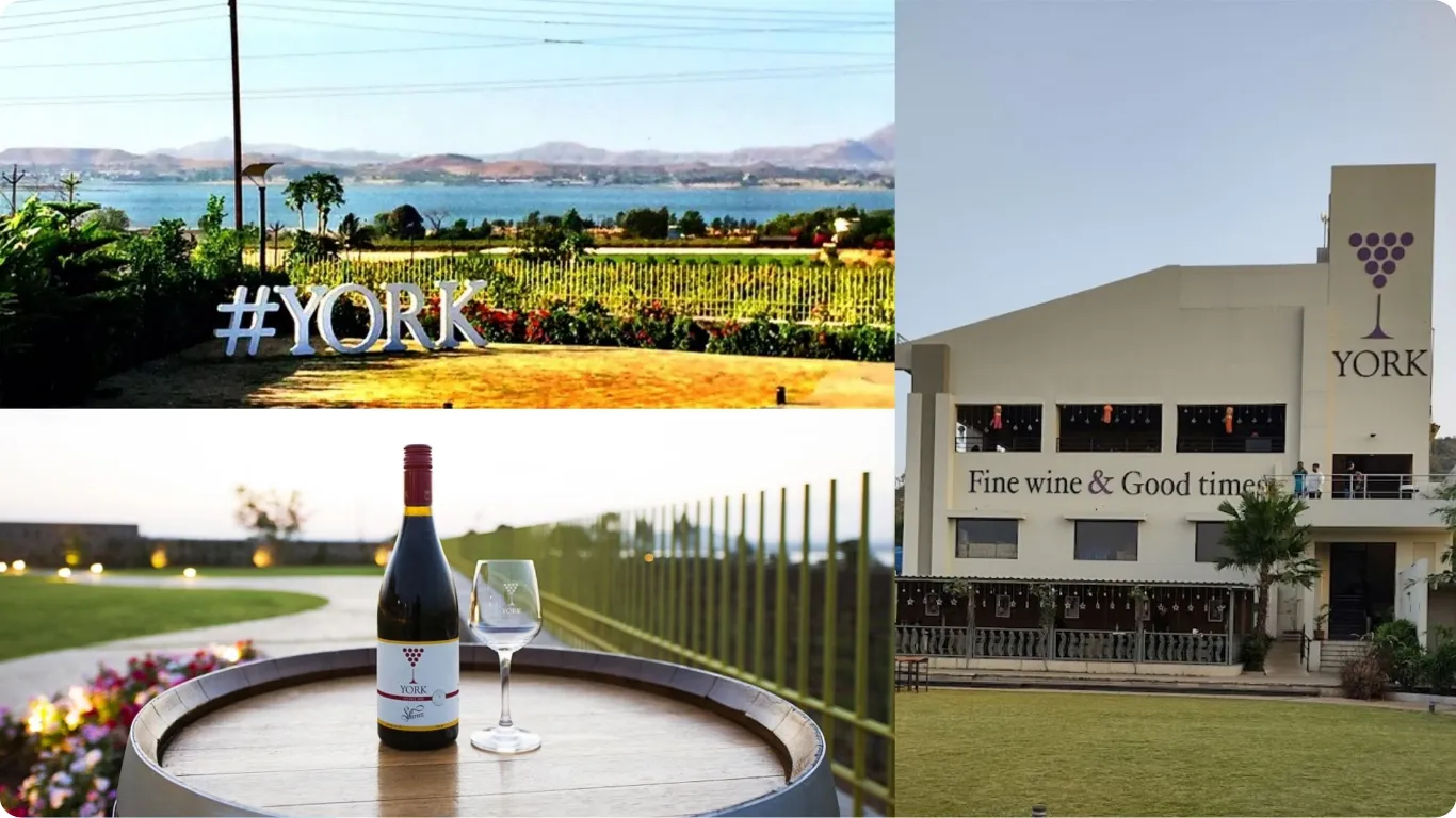 York Winery, Nashik