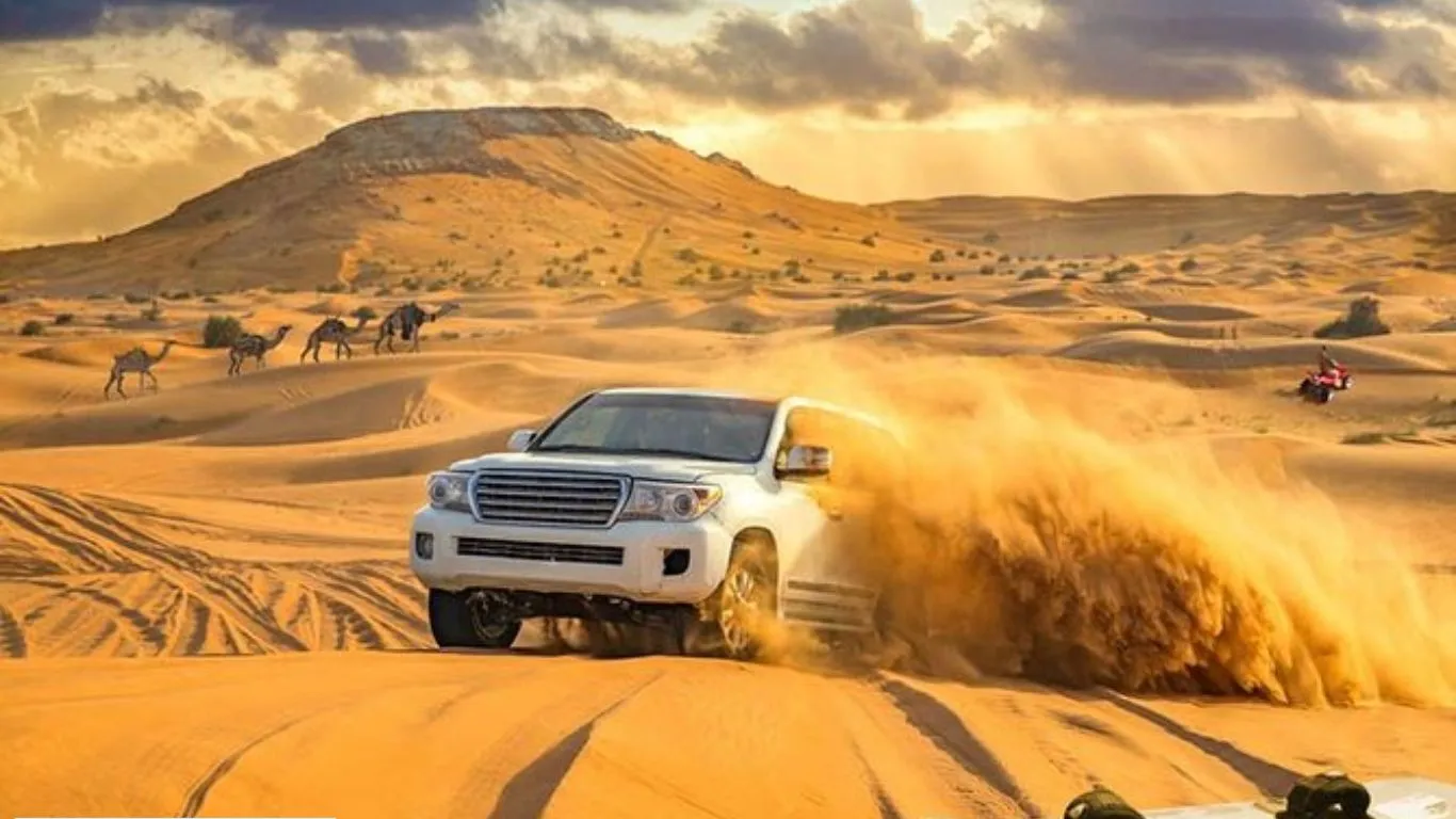 dessert safari, qatar