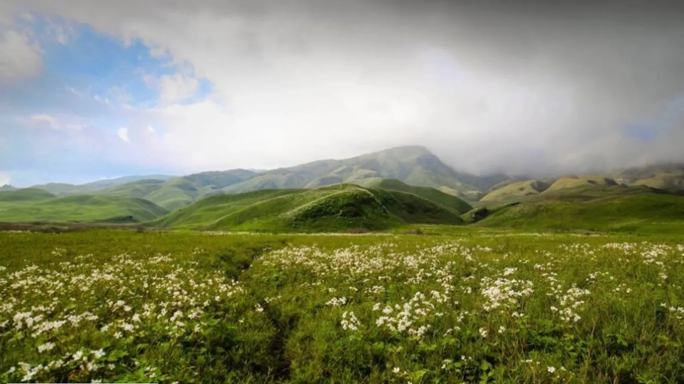 Dzukou Valley, Nagaland: The valley of flowers in the Northeast