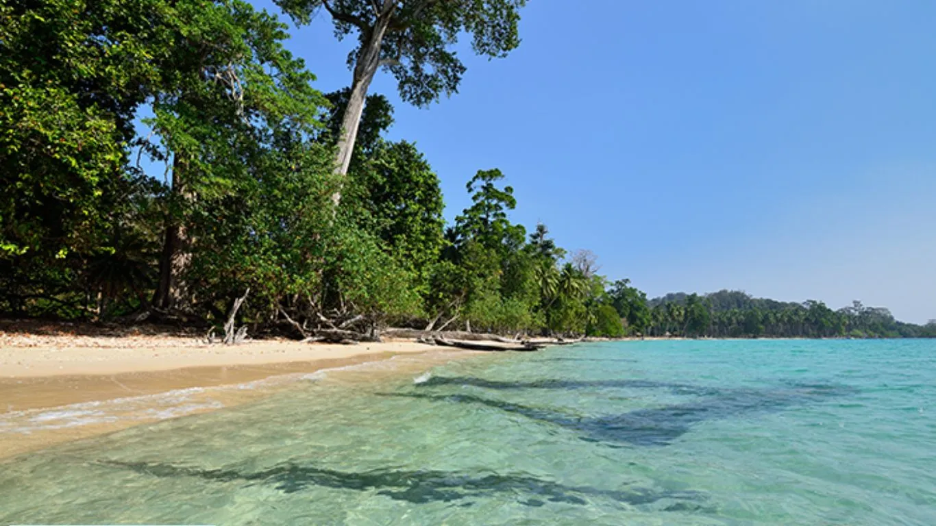 Ramnagar Beach