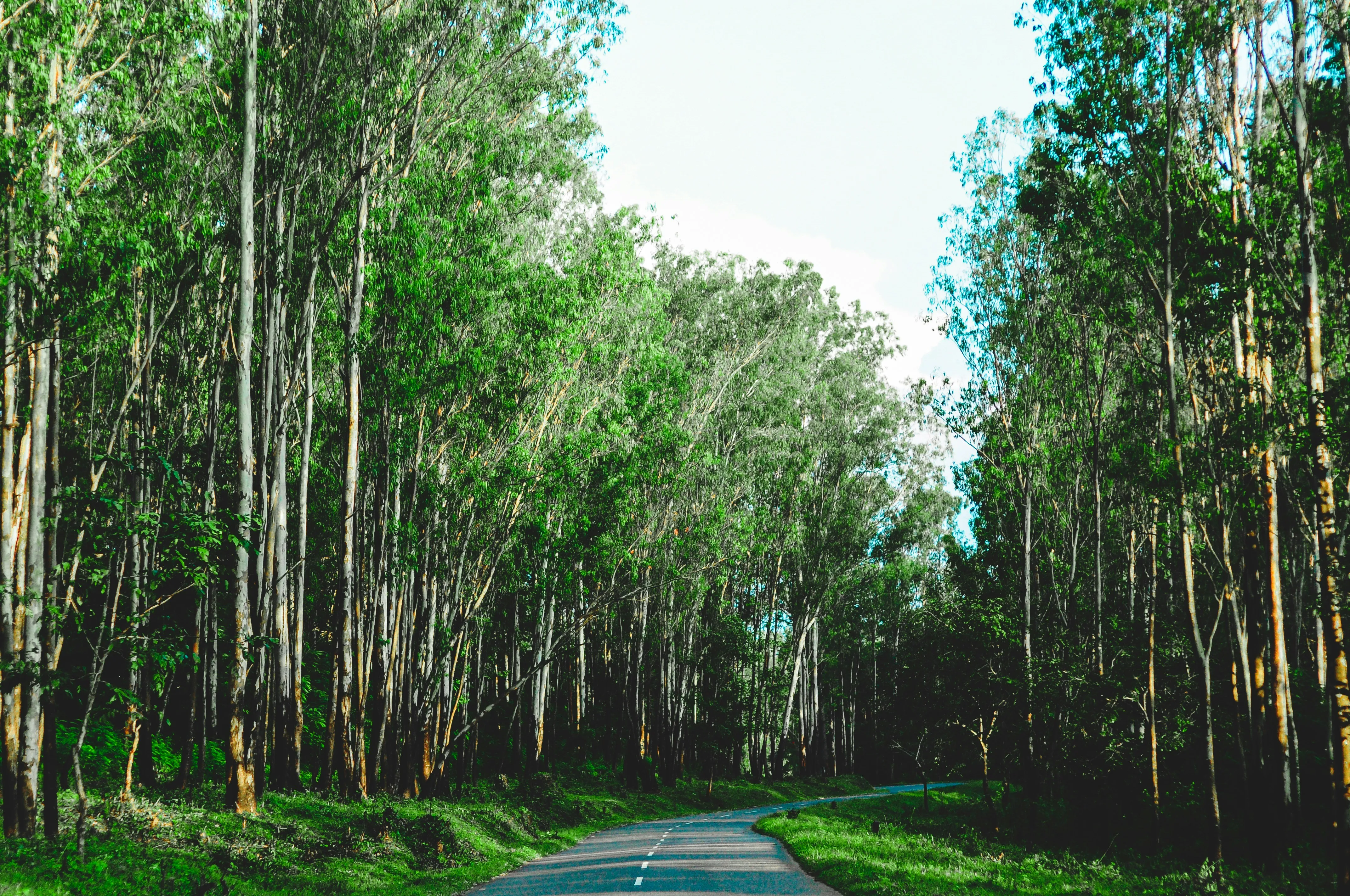 Wayanad, Kerala