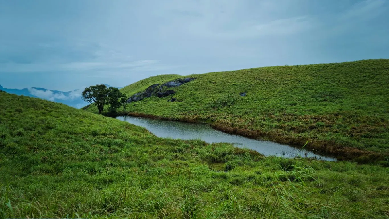 Chembra Peak, Kerala