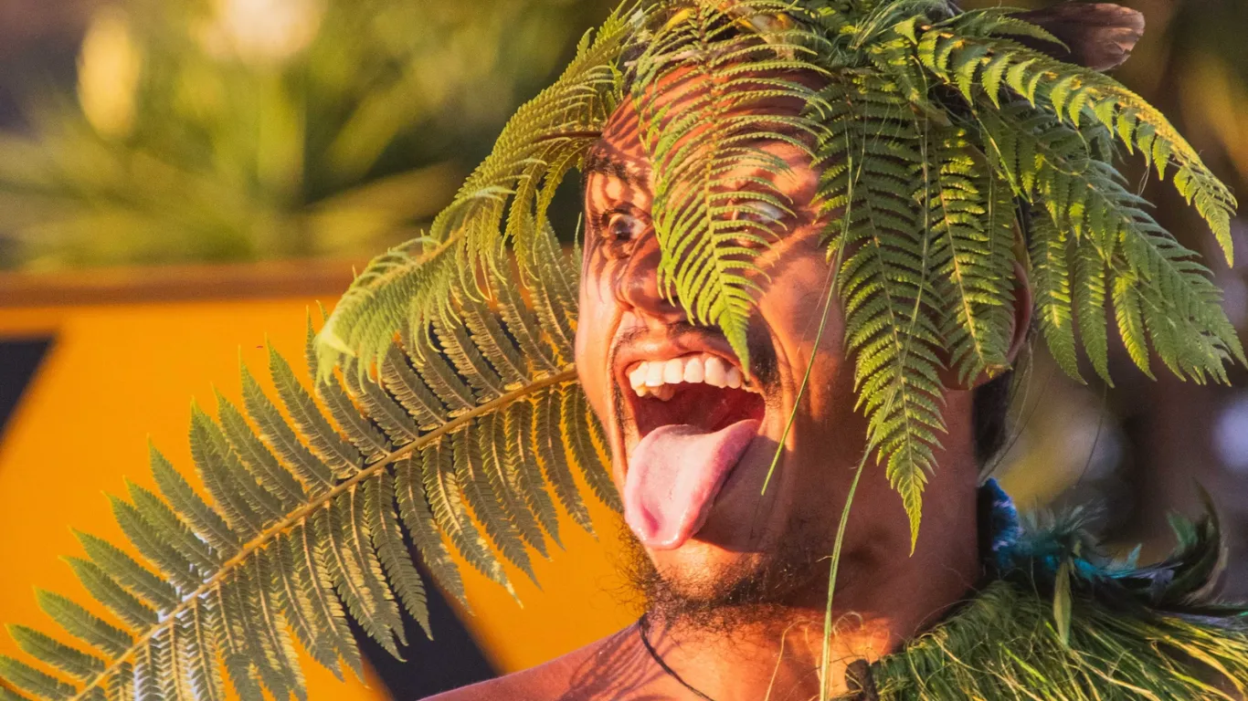 Māori culture 02
