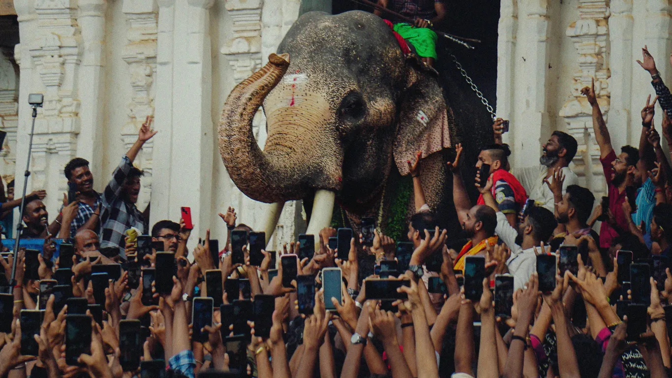 Thrissur Pooram: Kerala’s Most Spectacular Celebration of Colour, Culture, and Community