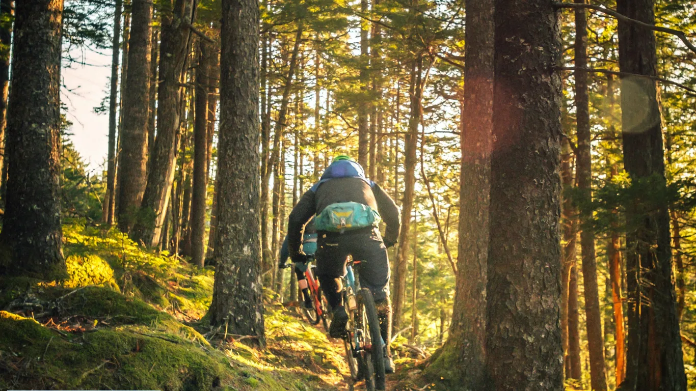 Mountain Biking
