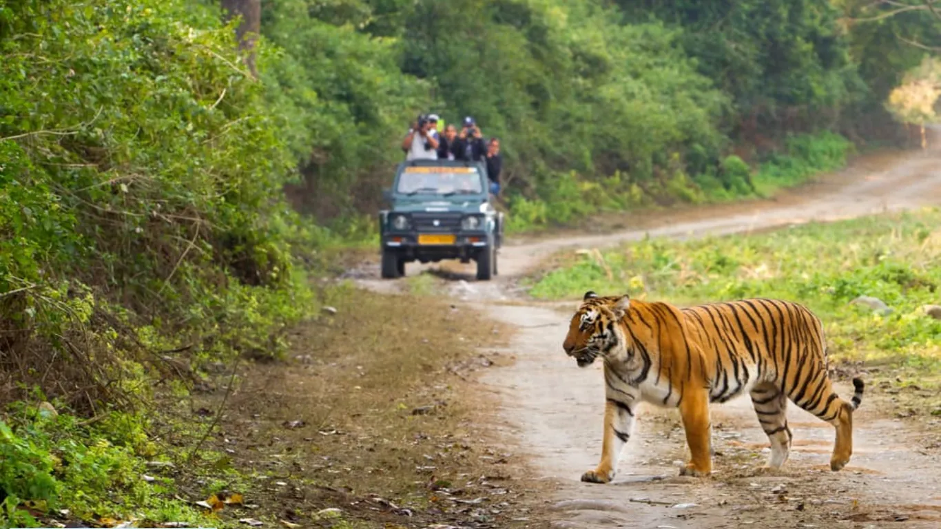 Jim Corbett