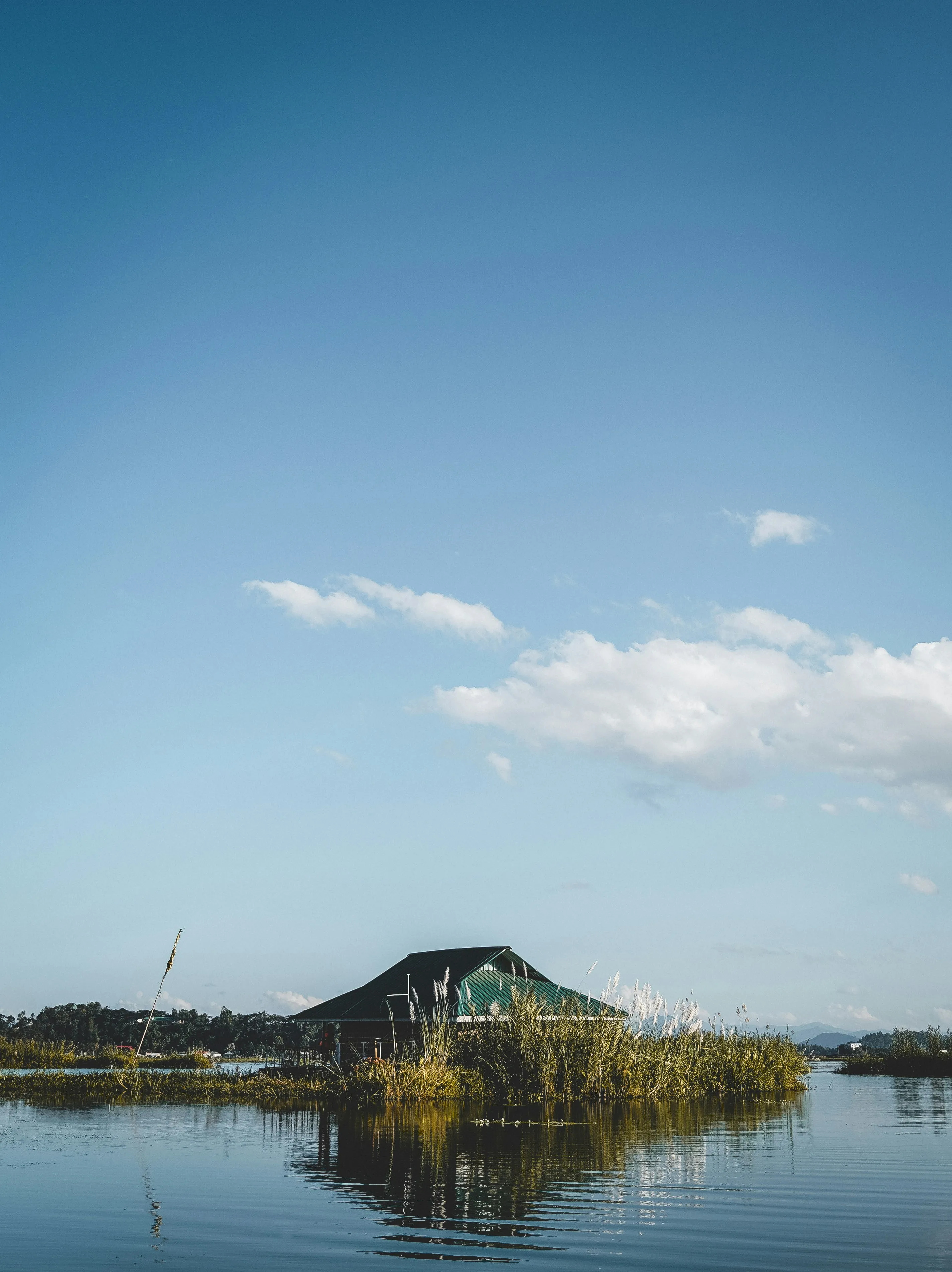 leeder-bose-1JCJHh68syo-unsplash