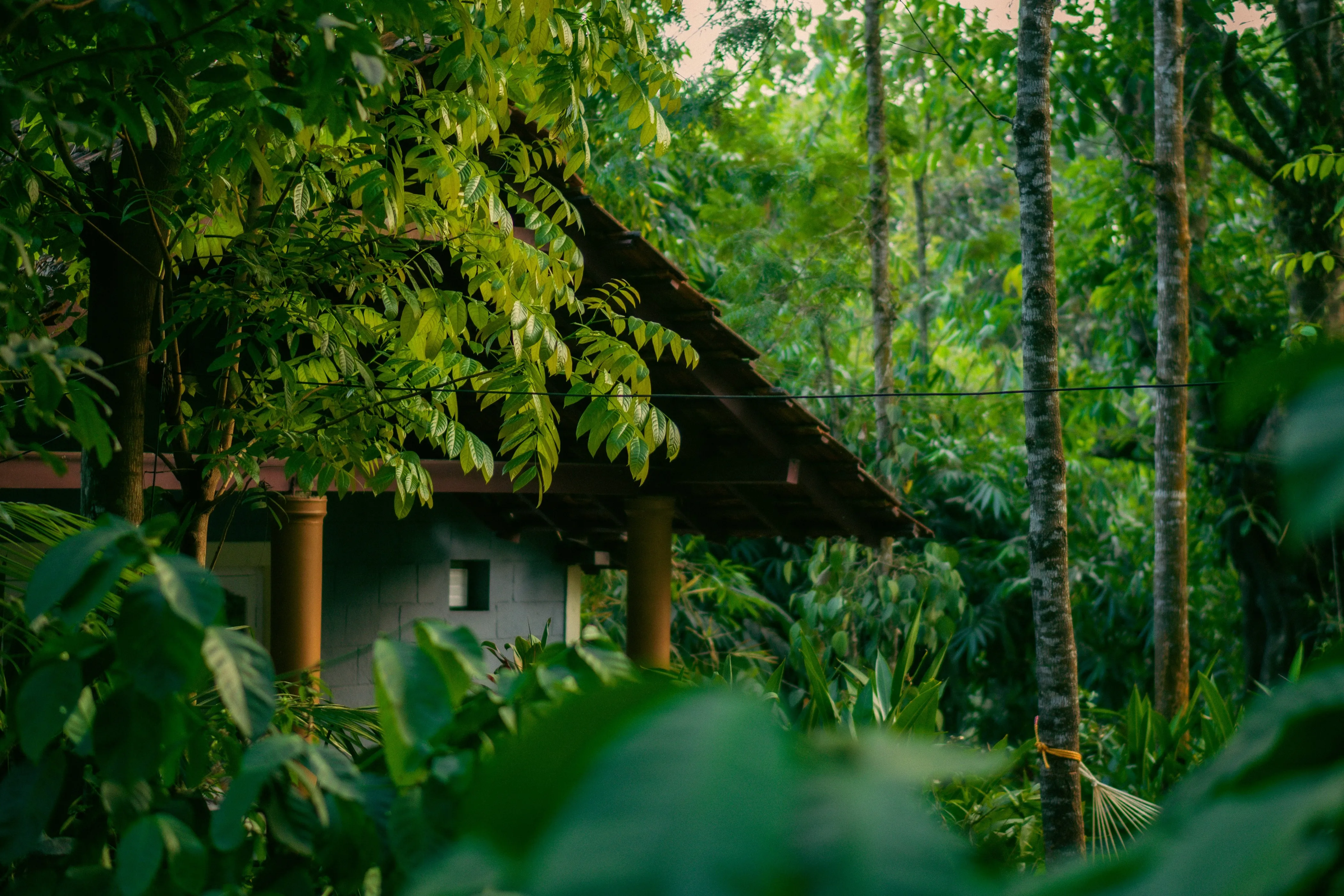 Coorg