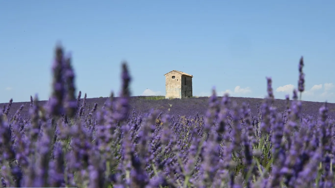 Provence France