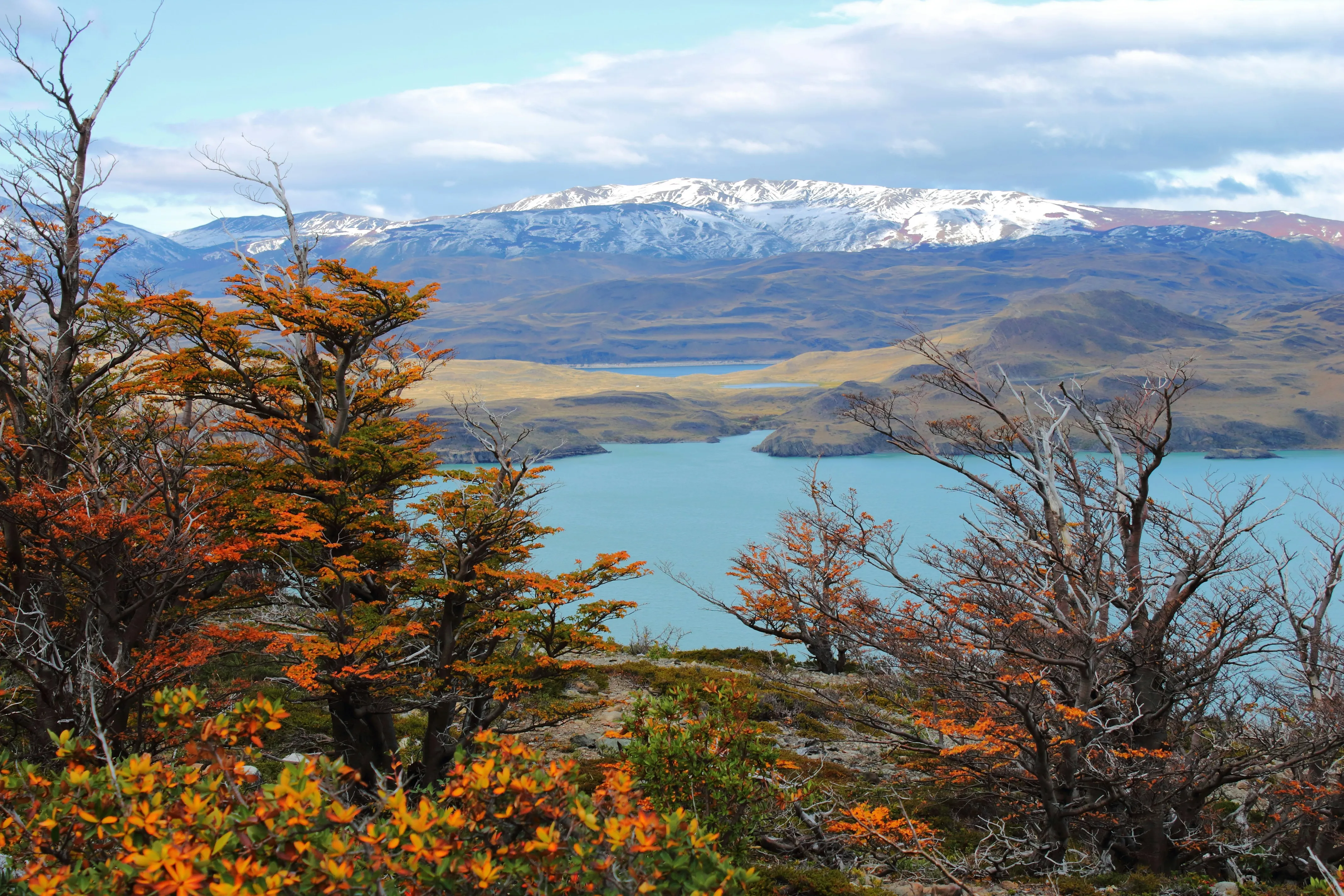 Patagonia, Chile