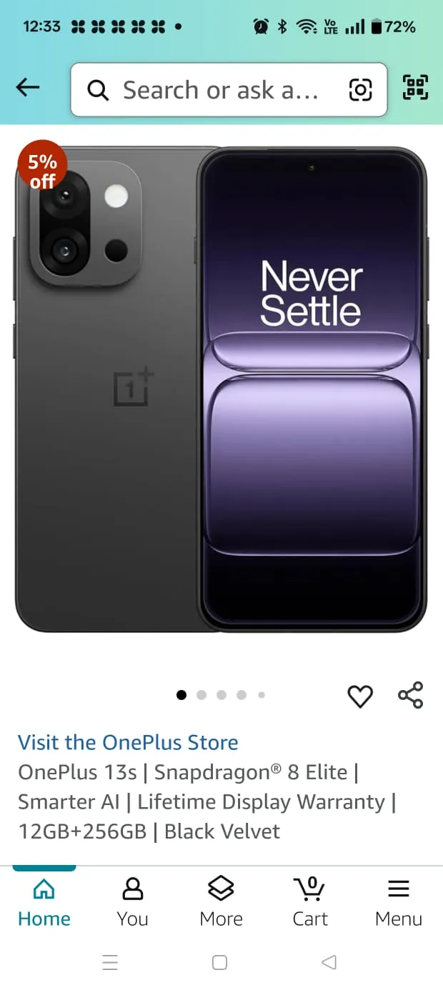 oneplus13s