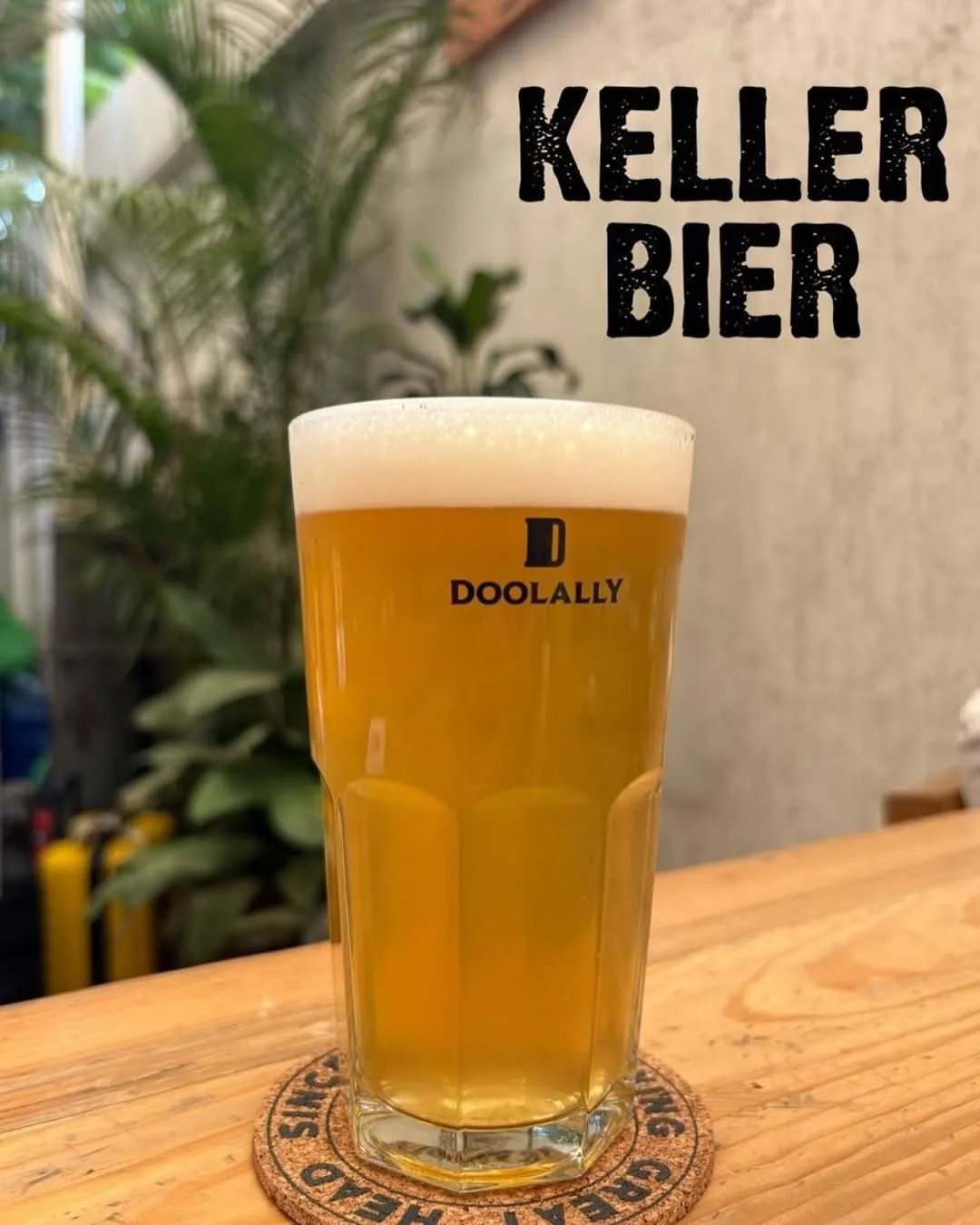 publive-image