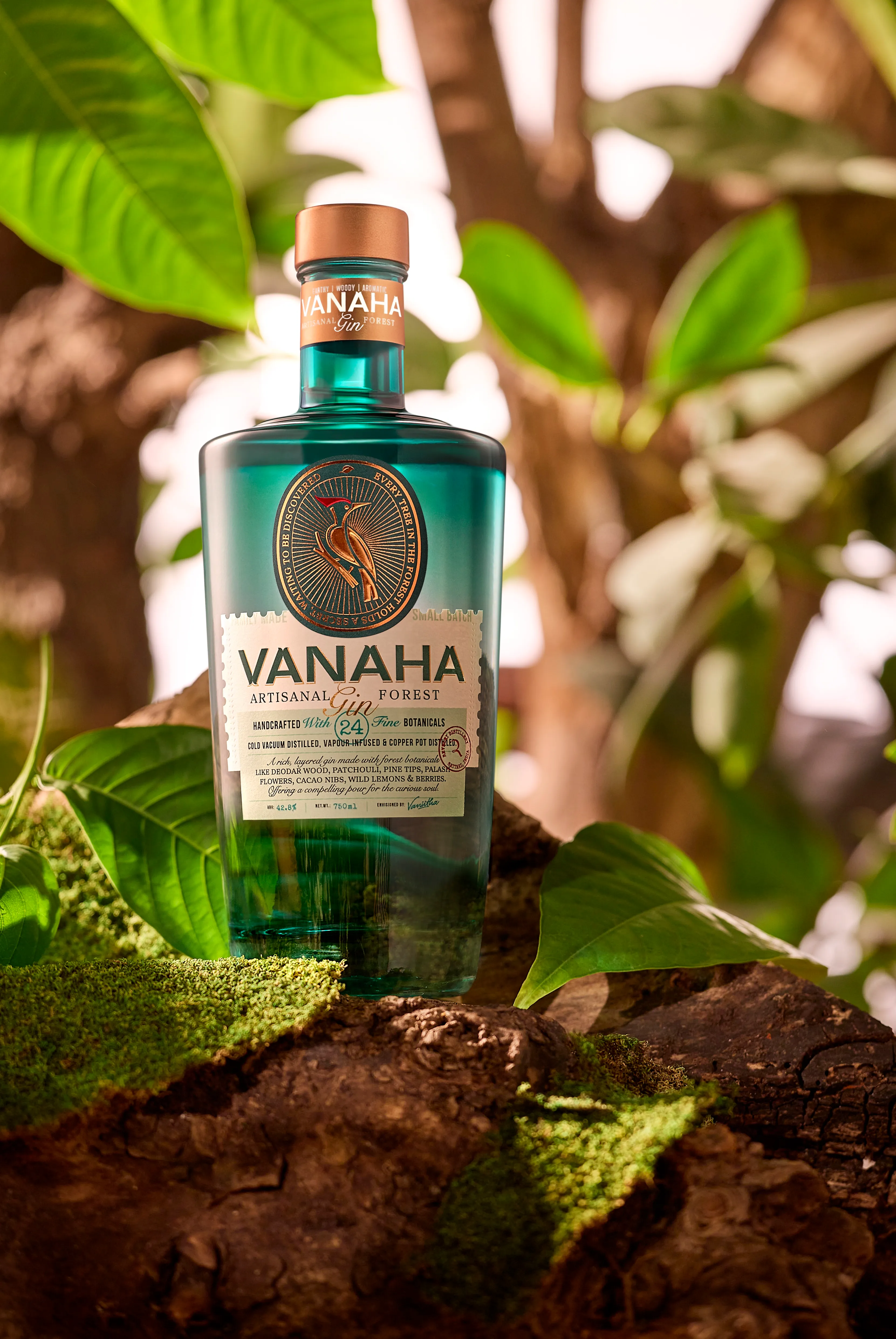 Vanaha22