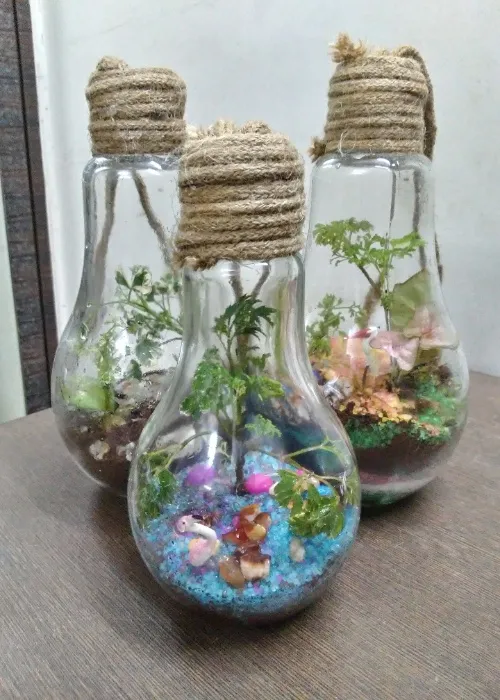 Create a terrarium in a bulb 