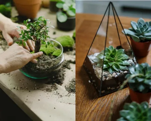 Touching soil provides a sensory experience that can reduce anxiety 