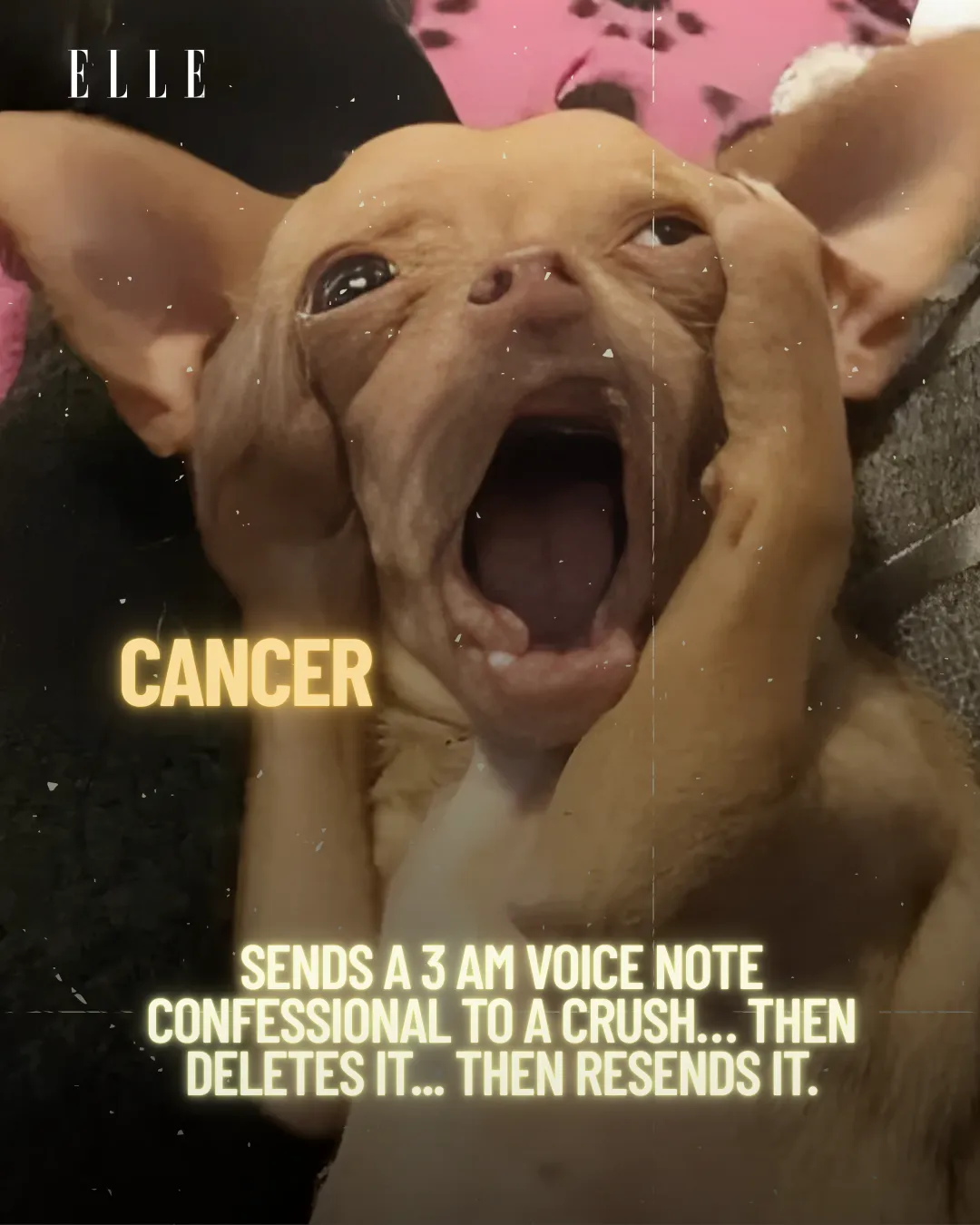 Zodiac
