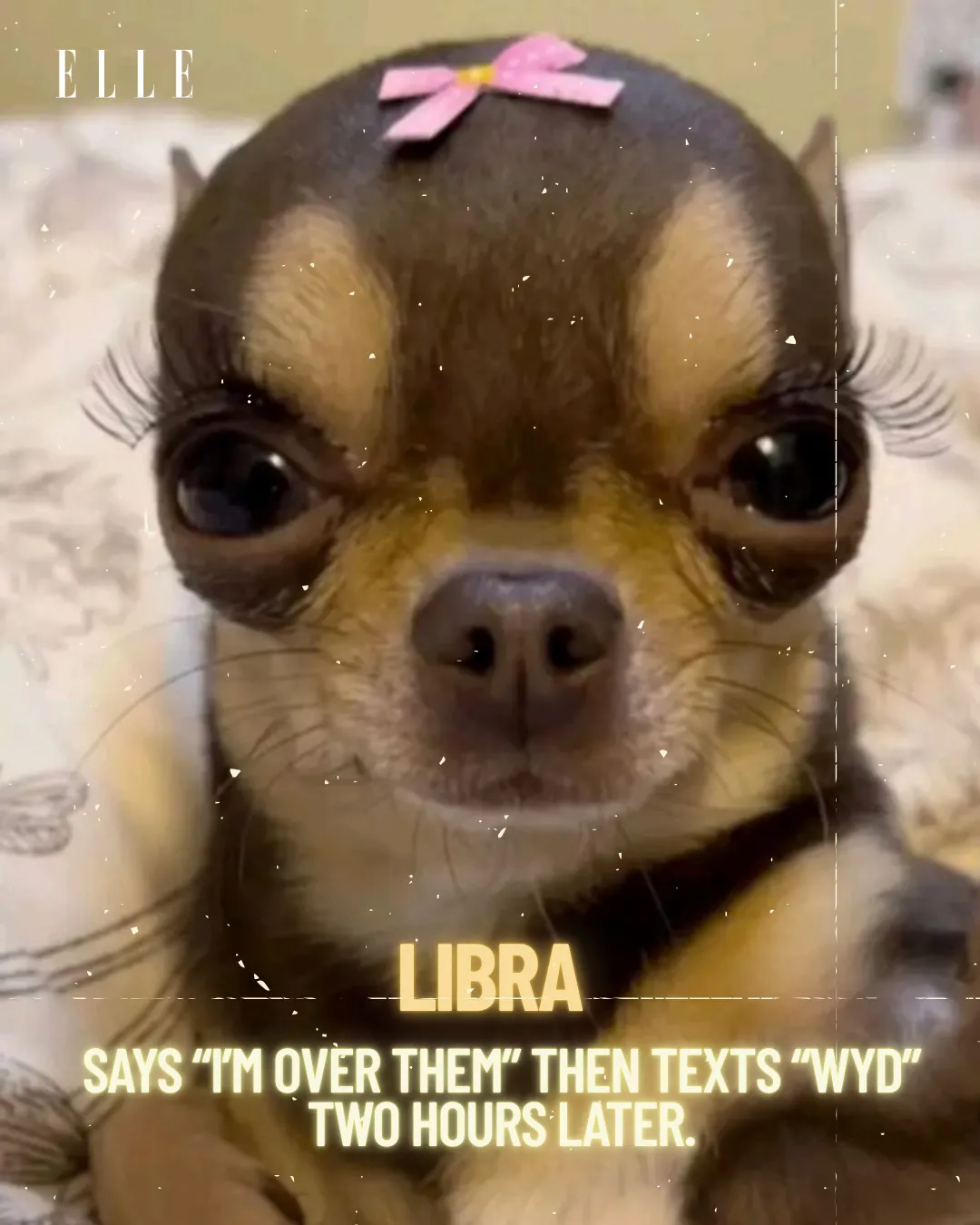 Zodiac