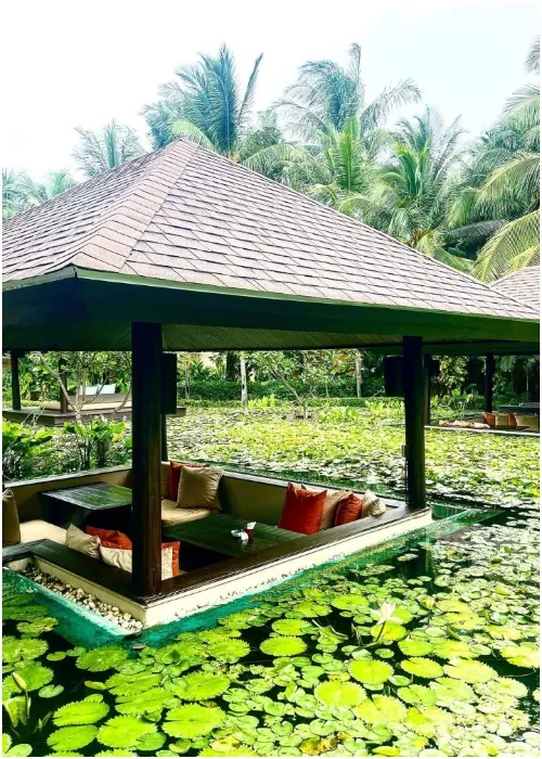 Krsnaa-Thailand