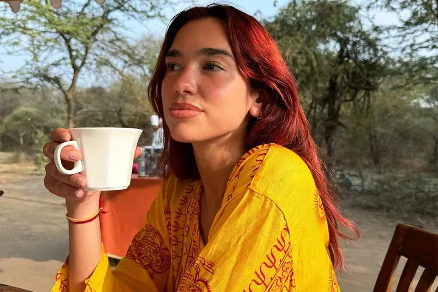 Dua Lipa | Dua Lipa concludes Rajasthan vacation with a heartfelt note,  says she feels 'beyond lucky' to end 2023 in India - Telegraph India