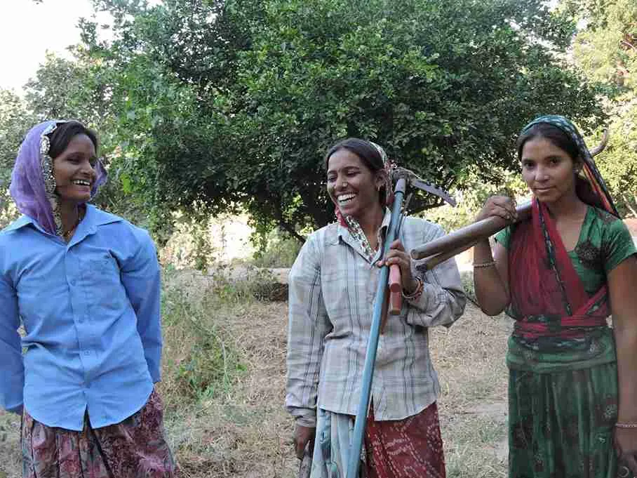 A team of traditional Rajasthani women, trained in masonry by Bagheera's Camp and Rewilding Jawai. 