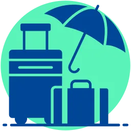 travel icon