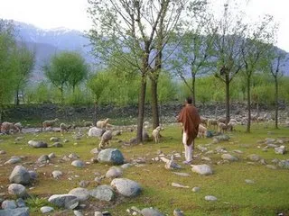 kashmir2