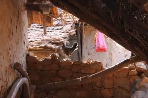 Snapshots of Purushwadi