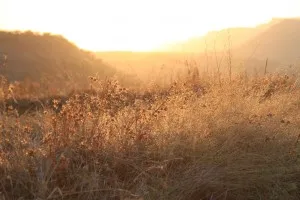 Sun setting on the fields