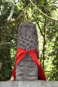 The snake shrine in the forest, close to Agumbe Rainforest Research Station