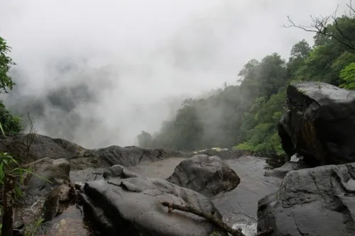 Agumbe is a beautiful rainforest set in the Western Ghats. It receives the second highest rainfall in India. 