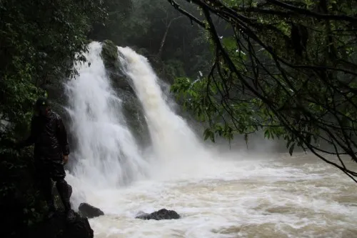 The magnificent Onakke Abbe falls, which drop from a height of 300m into the mist below.
