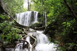 Our guide Vipul's secret retreat, a friendly waterfall that ambles along the slopes, and is a perfect place for meditating.